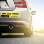 adesivi auto sticker movimento