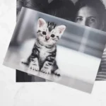 foto alluminio quadro