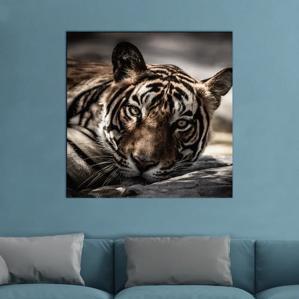 foto alluminio quadro
