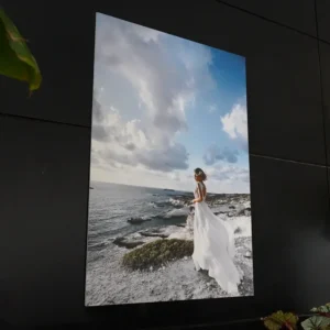foto forex pannello quadro