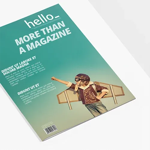 riviste punti metallici magazine