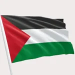Bandiere Nazionali palestina