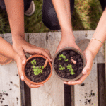 Matita appuntita Germogli Sproutworld
