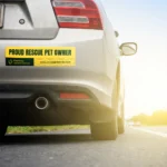 adesivi per auto lineari sagomati